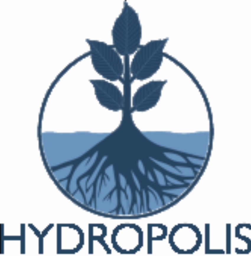 Hydropolis Inc