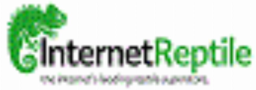 Internet Reptile