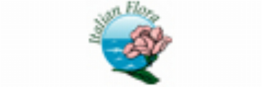 Italian Flora - Send Flowers to Italy by italian florist Same day Delivery