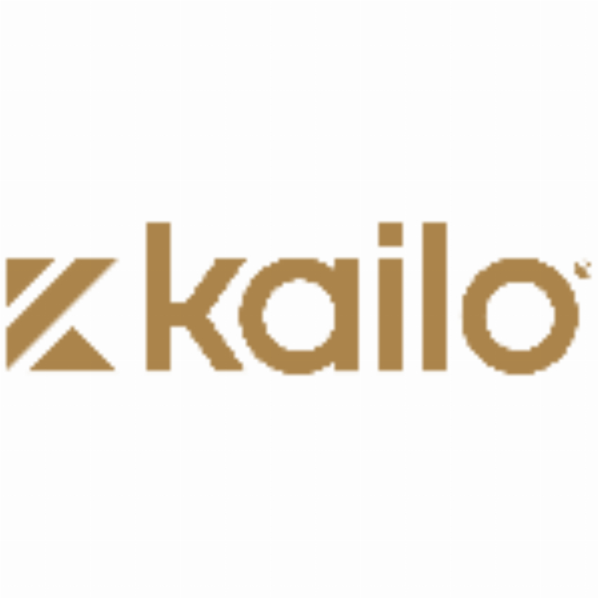 Kailo - Pain Relief Patch