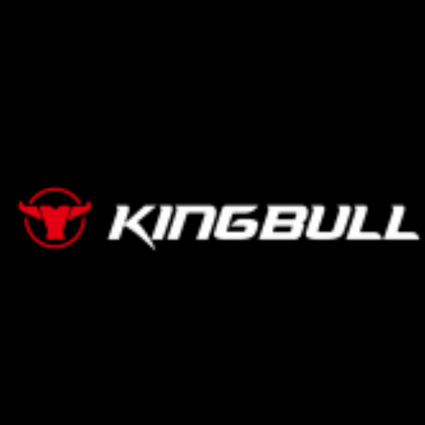 Kingbull Bike