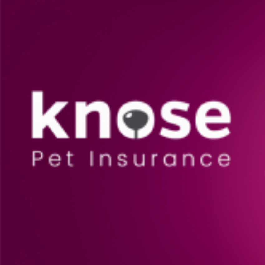 Knose Financial Services Pty Ltd