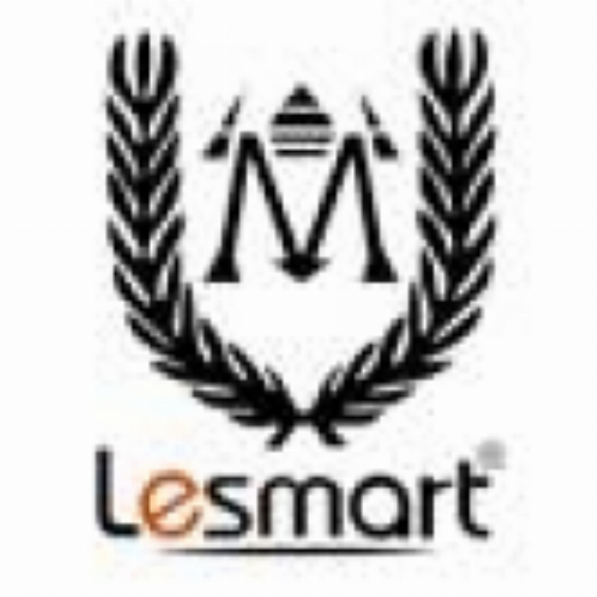 Lesmart