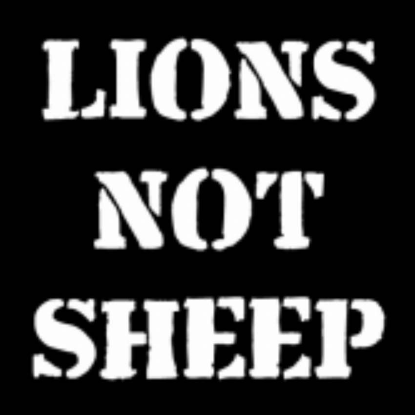 Lions Not Sheep