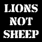 Lions Not Sheep