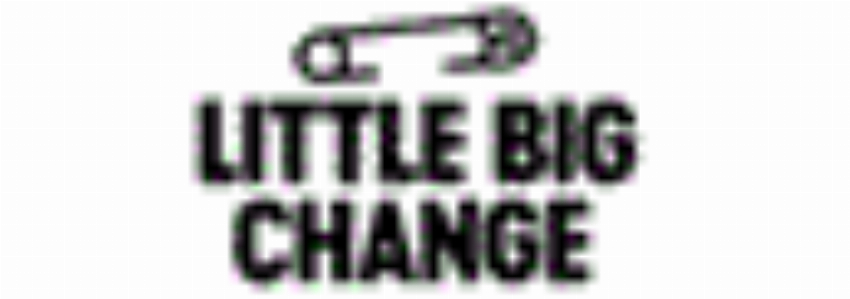 Little Big Change