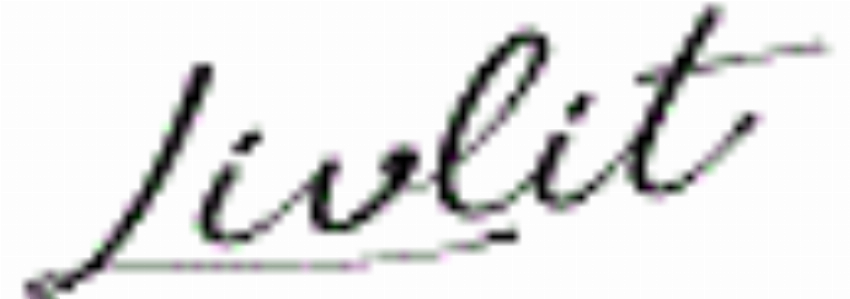 LIVLIT ORGANIC PADS LINERS