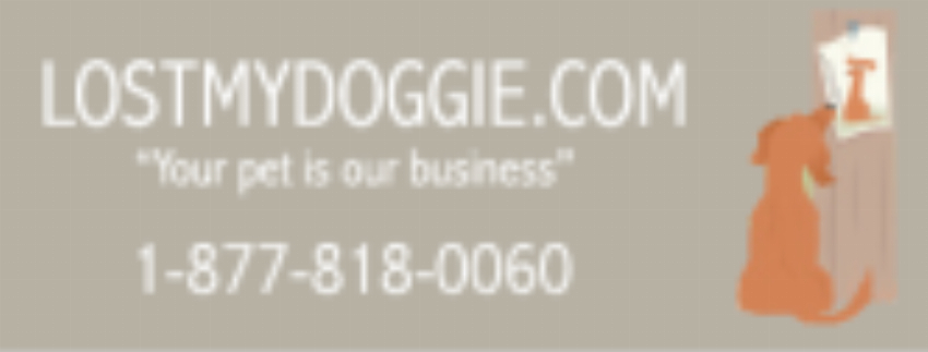 LostMyDoggie
