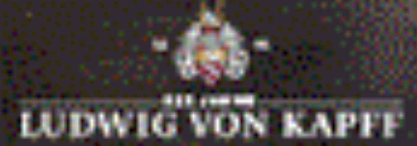 Ludwig von Kapff