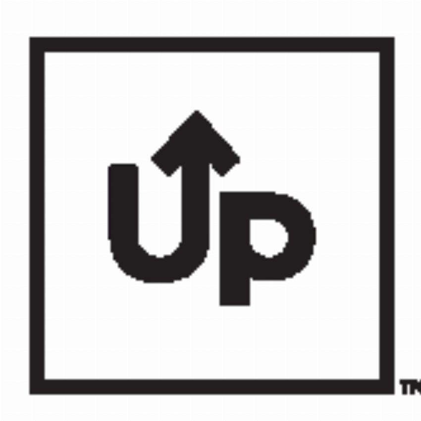 Martin Studios d b a Up Paint