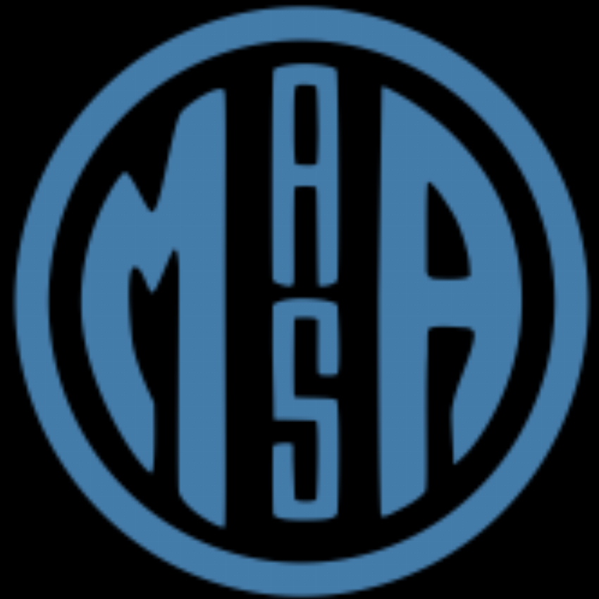 MASA Chips