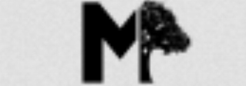 Massicciomobili24 IT