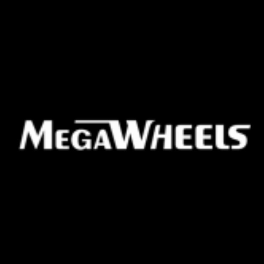 Megawheels Shenzhen Electronics CO LTD
