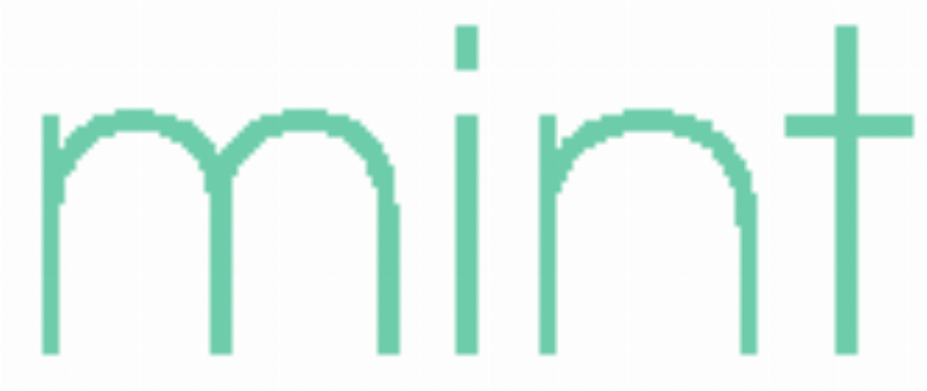 Mint Clothing Boutiques
