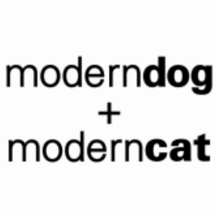 Modern Dog amp Modern Cat