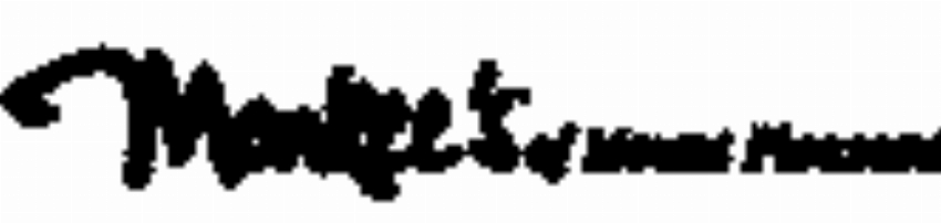 Monkee s of Mount Pleasant