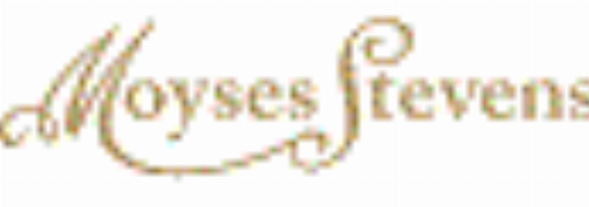 Moyses Stevens Flowers