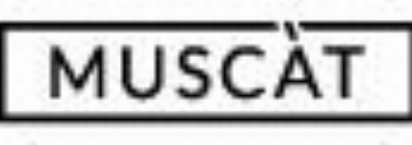 Muscat PL
