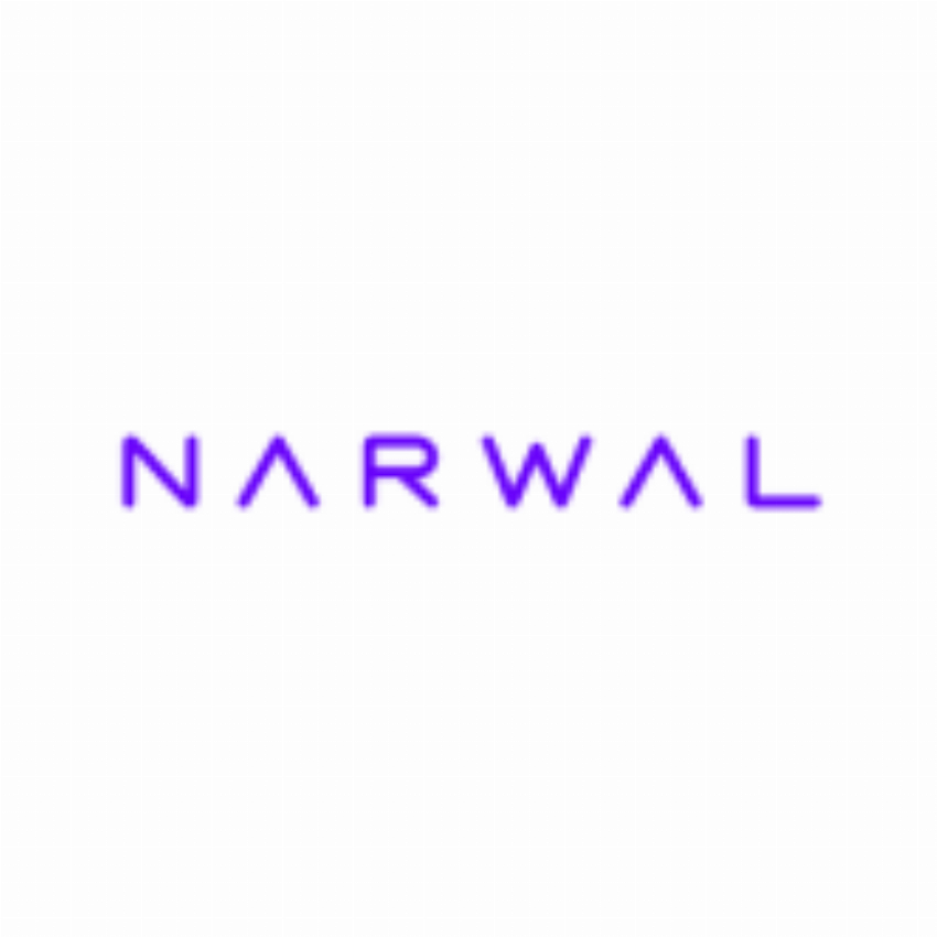 Narwal IT