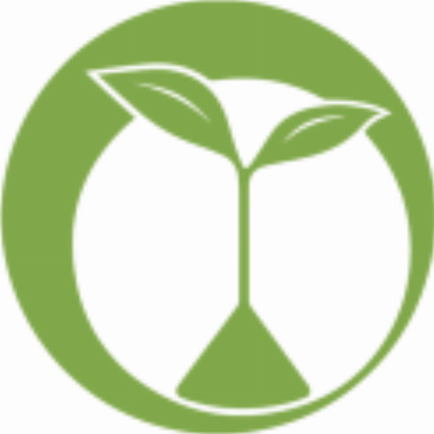 Natural Foundation Supplements