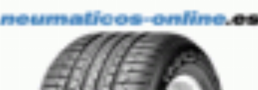 neumaticos-online es
