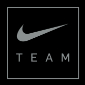 Niketeamsport