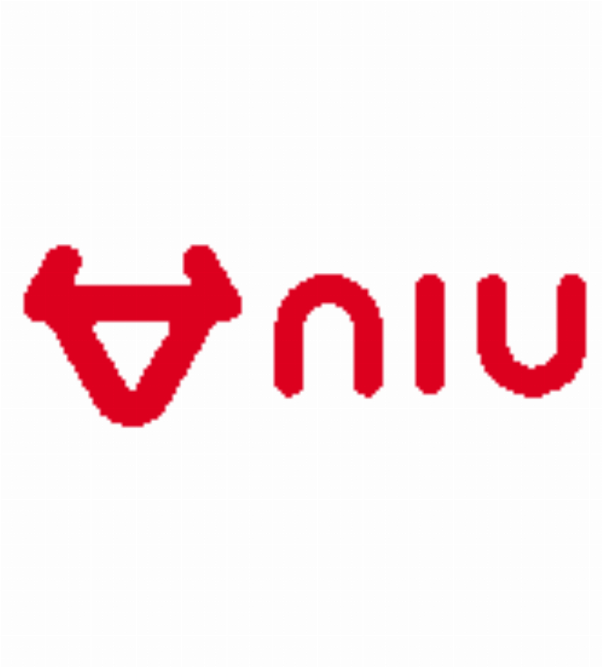 Niu International