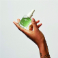 nyl Skincare