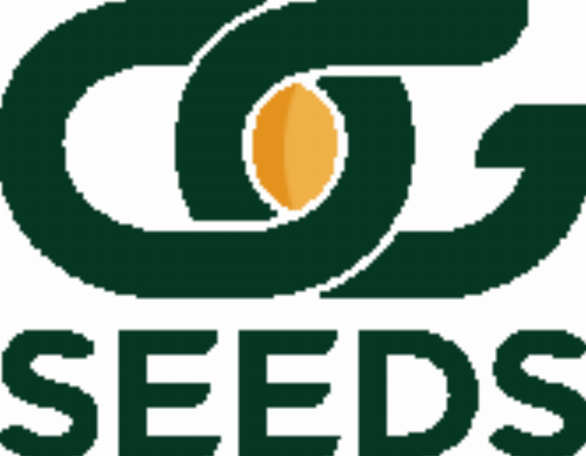 OG Seeds