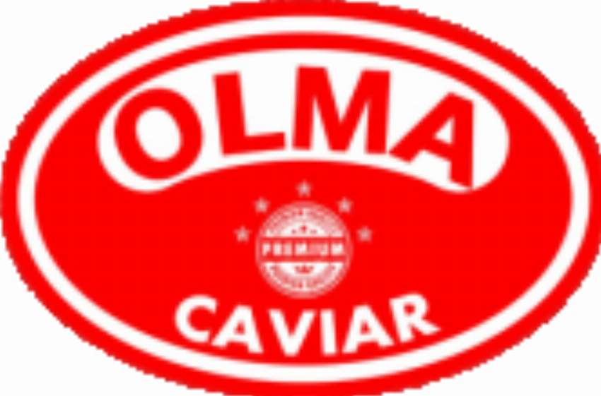 OLMA Star Inc