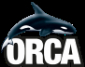 Orca Tauchreisen