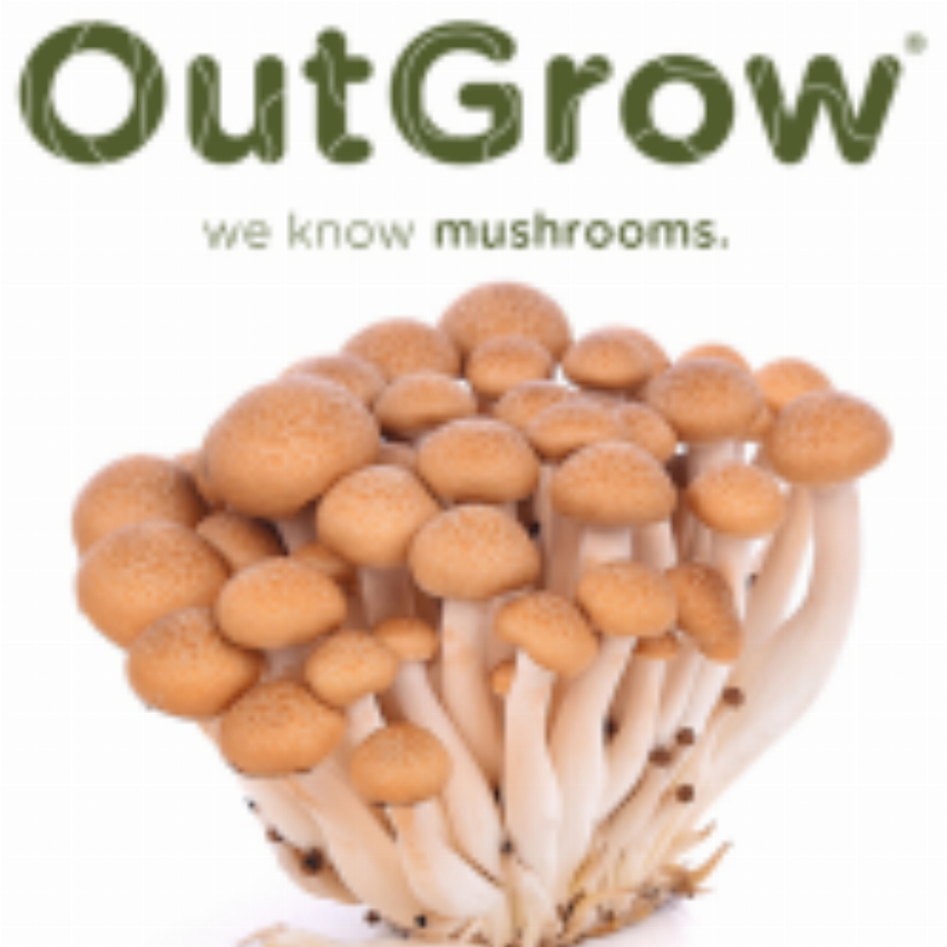 Out-Grow