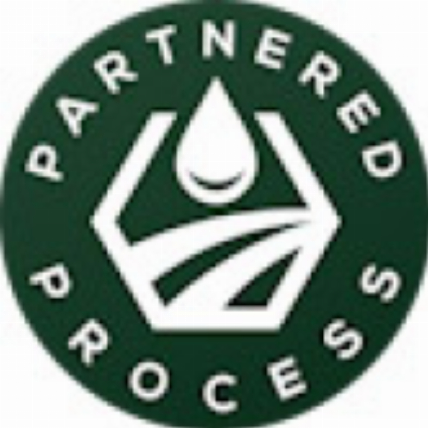 Partnered Process