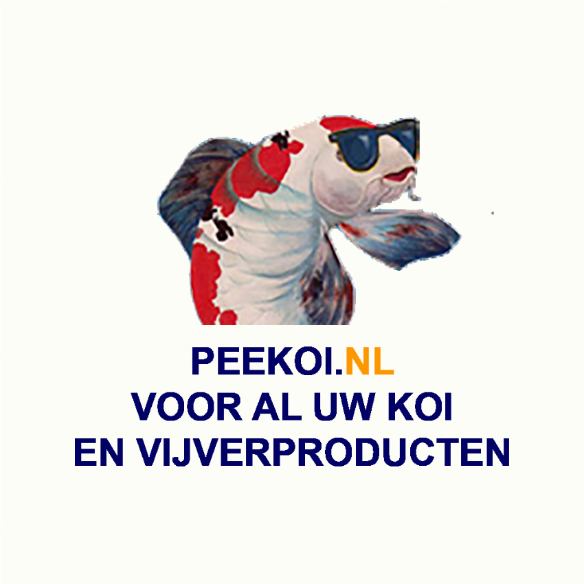 Peekoi