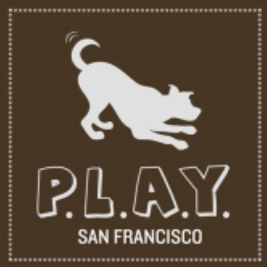 Pet Lifestyle and You