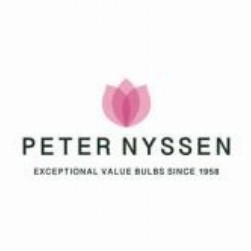 Peter Nyssen