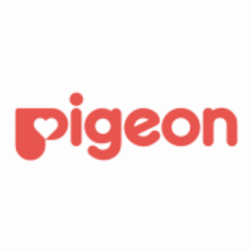 PIGEON AMERICA INC