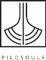 Pilosoule