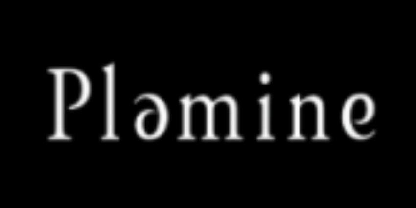 Plamine