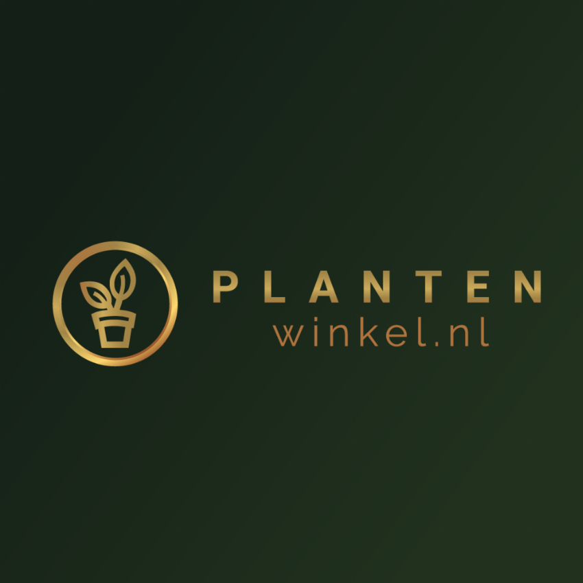 Plantenwinkel