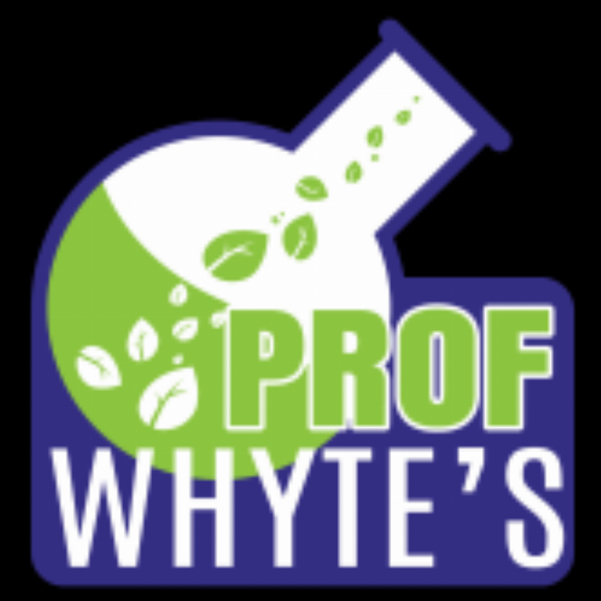 Professor Whytes