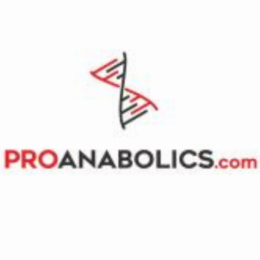 Prototype Group Limited