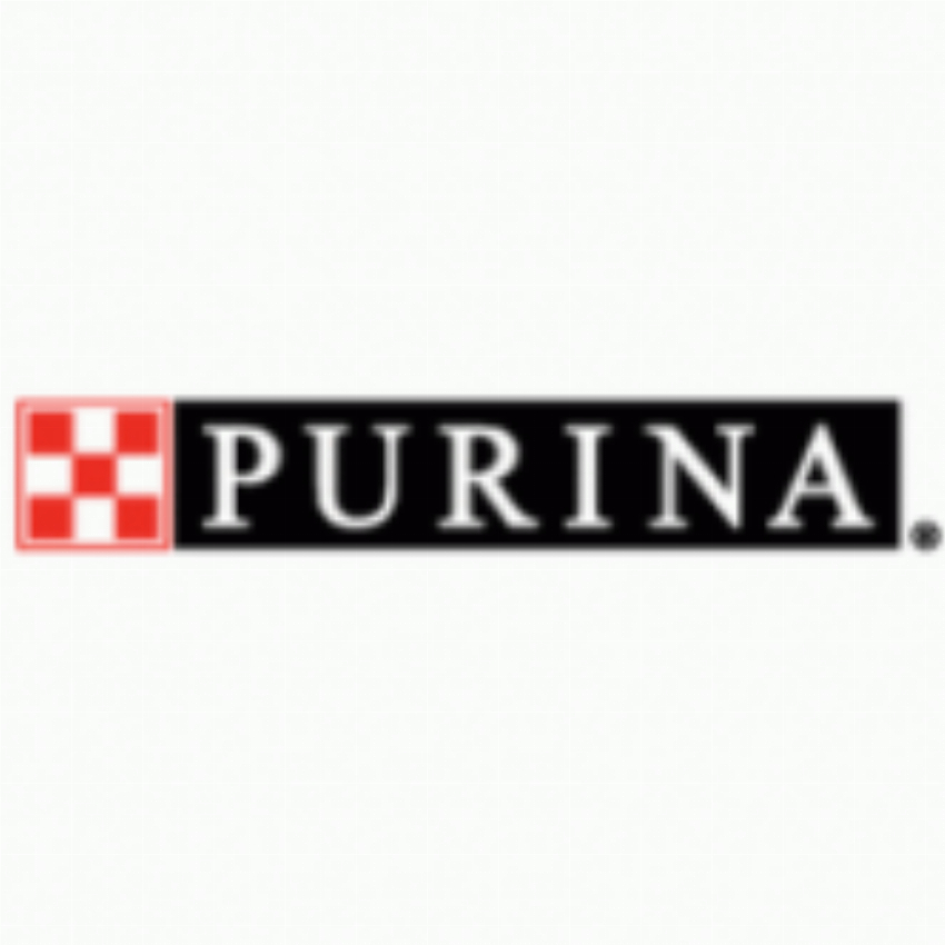 Purina Campaign IT