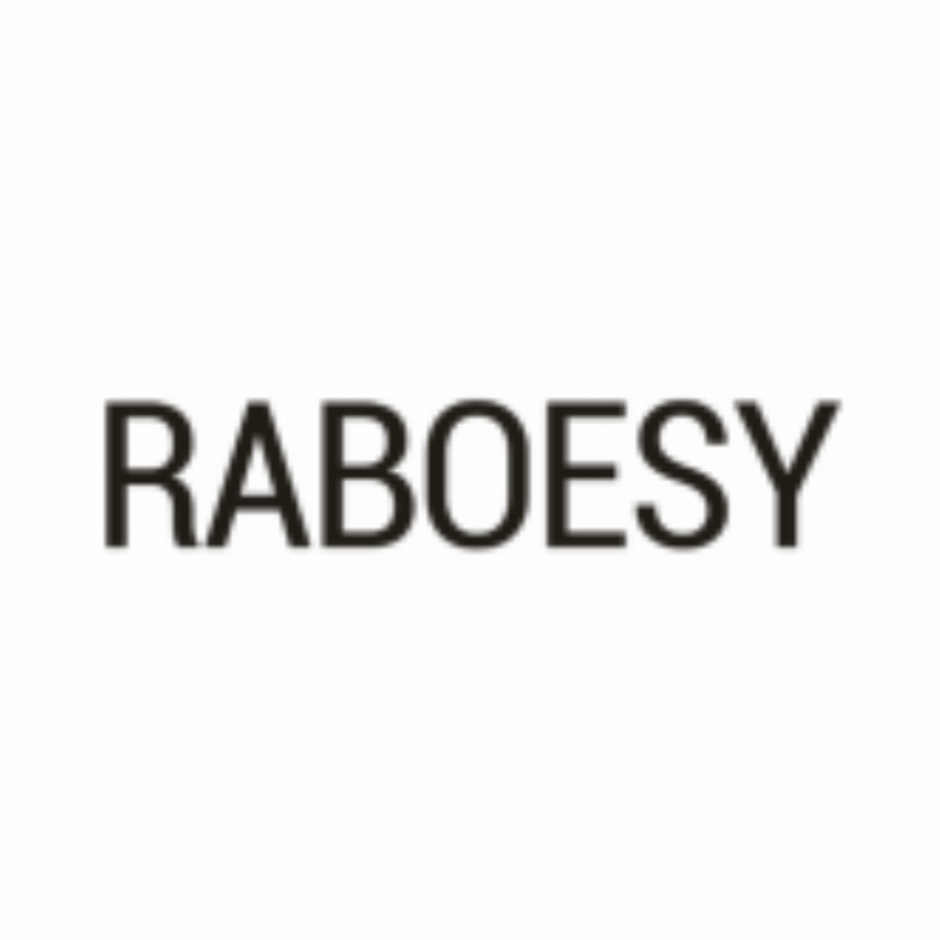 RABOESY