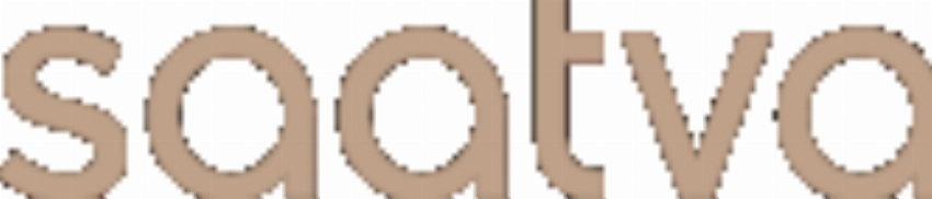Saatva Inc