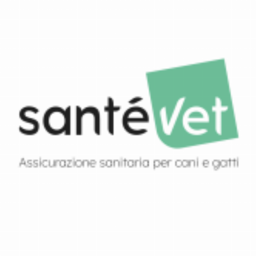 Santevet IT