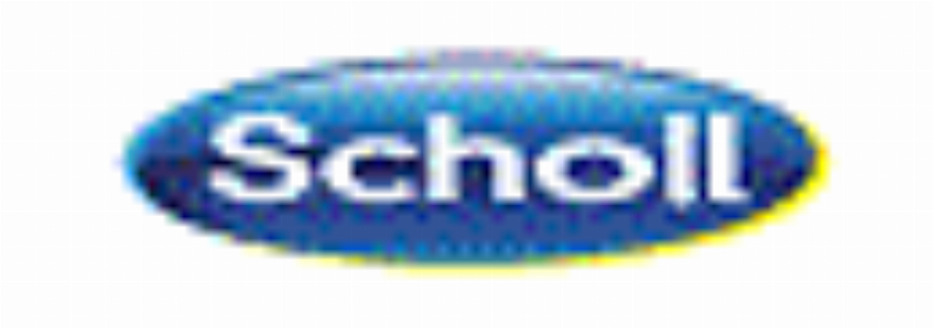 Scholl IT