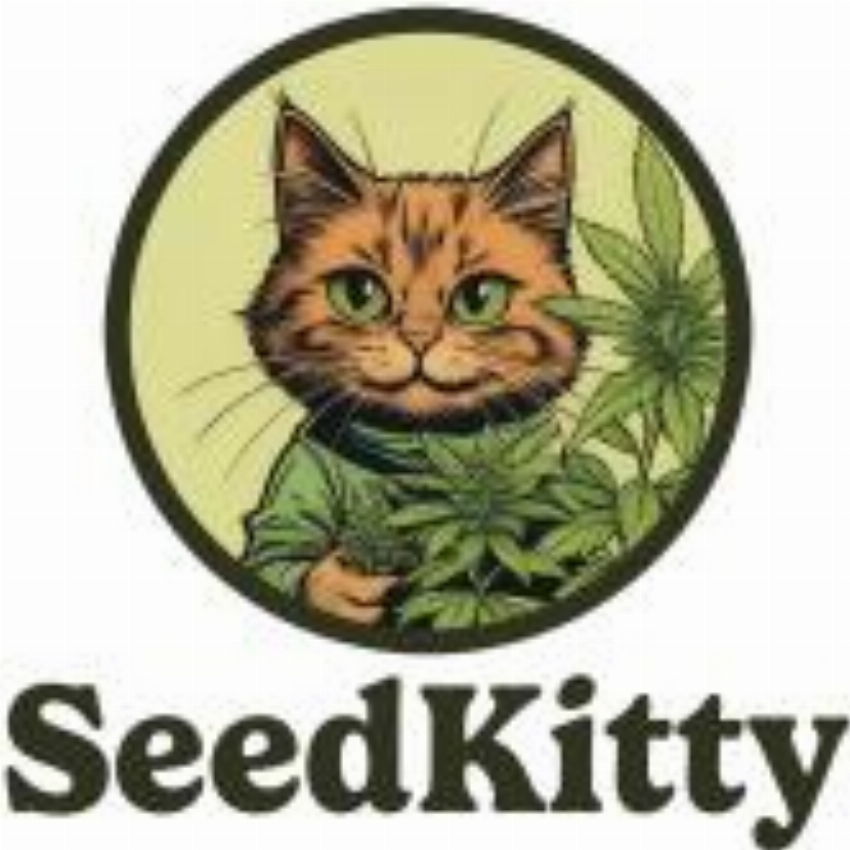 SeedKitty Cannabis Samen