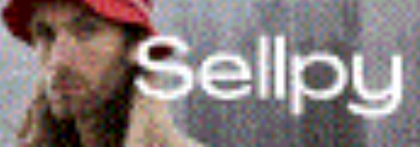 Sellpy