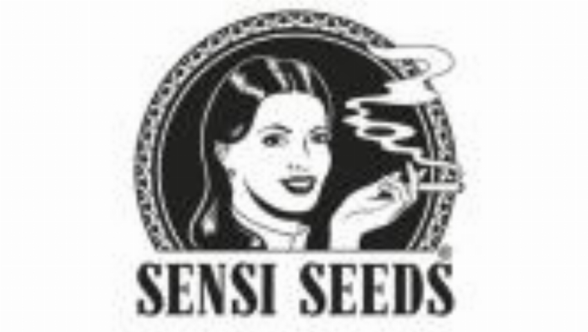 Sensi CBD OPE